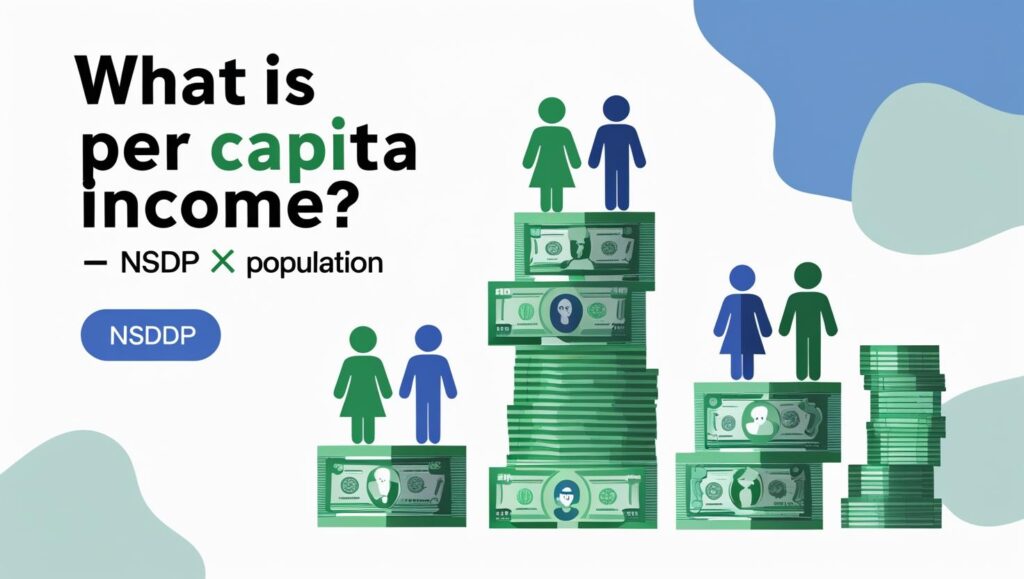 What is Per Capita Income